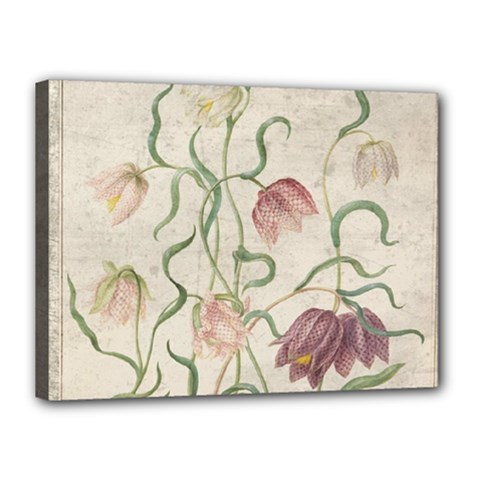 Vintage 1181683 1280 Canvas 16  X 12  (stretched) by vintage2030