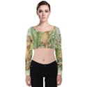 Fairy 1225819 1280 Velvet Long Sleeve Crop Top View1