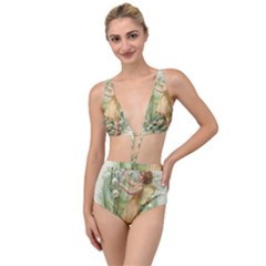 Fairy 1225819 1280 Tied Up Two Piece Swimsuit by vintage2030