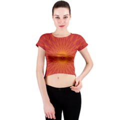 Background Rays Sun Crew Neck Crop Top