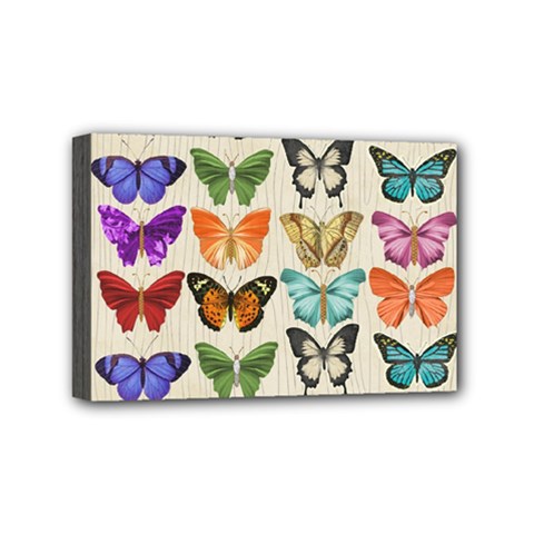 Butterfly 1126264 1920 Mini Canvas 6  X 4  (stretched) by vintage2030