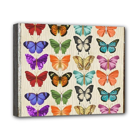 Butterfly 1126264 1920 Canvas 10  X 8  (stretched) by vintage2030