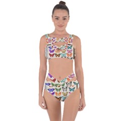 Butterfly 1126264 1920 Bandaged Up Bikini Set  by vintage2030