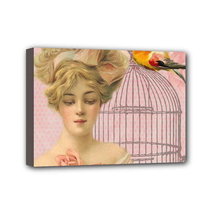 Woman 1079479 1920 Mini Canvas 7  x 5  (Stretched)