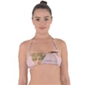 Woman 1079479 1920 Halter Bandeau Bikini Top View1