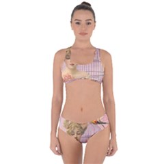 Woman 1079479 1920 Criss Cross Bikini Set by vintage2030