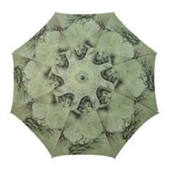 Woman 1079507 1920 Golf Umbrellas by vintage2030