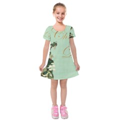 Christening 976872 1280 Kids  Short Sleeve Velvet Dress by vintage2030