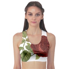 Rose 1077964 1280 Sports Bra by vintage2030