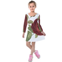 Rose 1077964 1280 Kids  Long Sleeve Velvet Dress