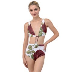 Rose 1077964 1280 Tied Up Two Piece Swimsuit