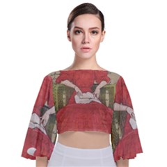 Vintage 1079413 1920 Tie Back Butterfly Sleeve Chiffon Top