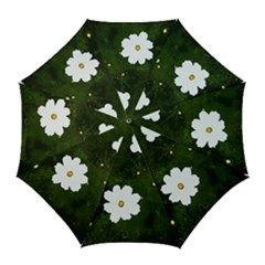 Daisies In Green Golf Umbrellas