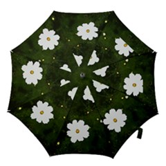 Daisies In Green Hook Handle Umbrellas (medium) by DeneWestUK