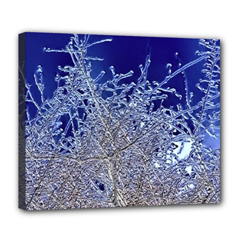 Crystalline Branches Deluxe Canvas 24  X 20  (stretched)