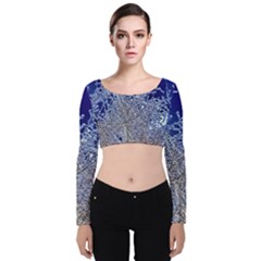 Crystalline Branches Velvet Long Sleeve Crop Top