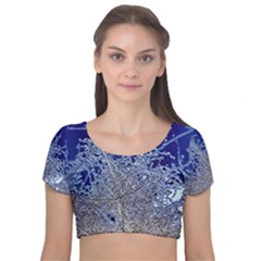 Crystalline Branches Velvet Short Sleeve Crop Top 