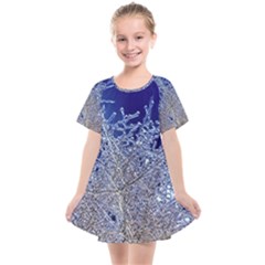 Crystalline Branches Kids  Smock Dress