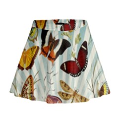 Butterfly 1064147 1920 Mini Flare Skirt by vintage2030