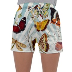 Butterfly 1064147 1920 Sleepwear Shorts by vintage2030