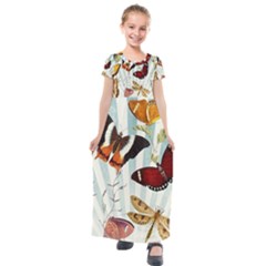 Butterfly 1064147 1920 Kids  Short Sleeve Maxi Dress by vintage2030