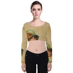 Old 1064510 1920 Velvet Long Sleeve Crop Top