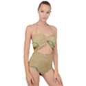 Old 1064510 1920 Scallop Top Cut Out Swimsuit View1