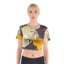 Halloween 979495 1280 Cotton Crop Top View1