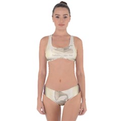 Vintage 979490 1280 Criss Cross Bikini Set by vintage2030