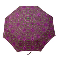 Modern Asian Ornate Pattern Folding Umbrellas by dflcprints