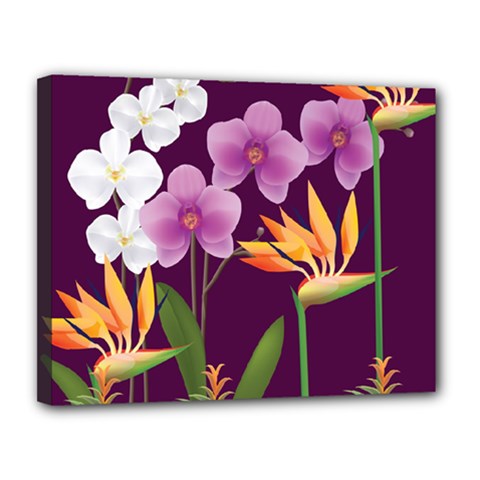 White Blossom Flower Canvas 14  X 11  (stretched) by Simbadda