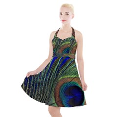 Peacock Feather Macro Peacock Bird Halter Party Swing Dress 