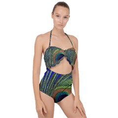 Peacock Feather Macro Peacock Bird Scallop Top Cut Out Swimsuit by Simbadda