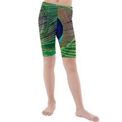 Peacock Feather Macro Peacock Bird Kids  Mid Length Swim Shorts by Simbadda