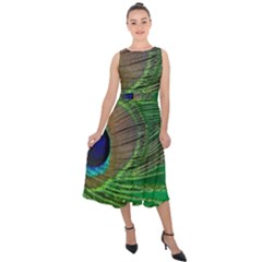 Peacock Feather Macro Peacock Bird Midi Tie-back Chiffon Dress by Simbadda