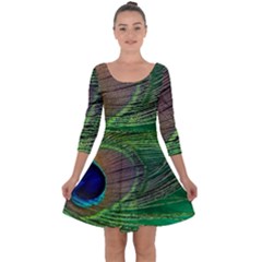 Peacock Feather Macro Peacock Bird Quarter Sleeve Skater Dress