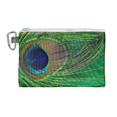 Peacock Feather Macro Peacock Bird Canvas Cosmetic Bag (large)