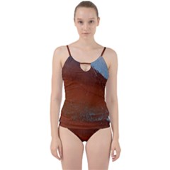 Acid Rain Cut Out Top Tankini Set by WILLBIRDWELL