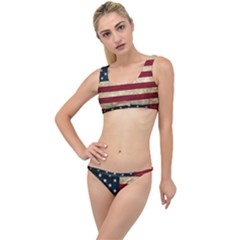 Vintage American Flag The Little Details Bikini Set