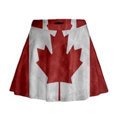 Canada Grunge Flag Mini Flare Skirt by Valentinaart