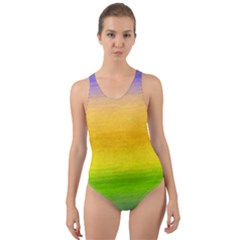 Ombre Cut-out Back One Piece Swimsuit