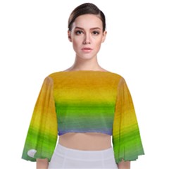 Ombre Tie Back Butterfly Sleeve Chiffon Top