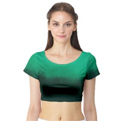 Ombre Short Sleeve Crop Top by Valentinaart