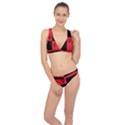 Harley Classic Banded Bikini Set  View1