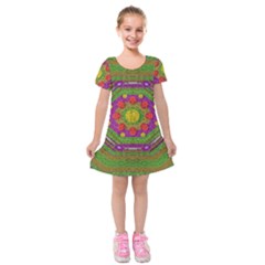 Flowers In Rainbows For Ornate Joy Kids  Short Sleeve Velvet Dress by pepitasart