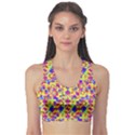 Multicolored Linear Pattern Design Sports Bra View1