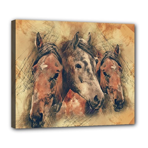 Head Horse Animal Vintage Deluxe Canvas 24  X 20  (stretched) by Simbadda