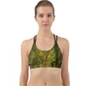 Rasta Forest Rastafari Nature Back Web Sports Bra View1