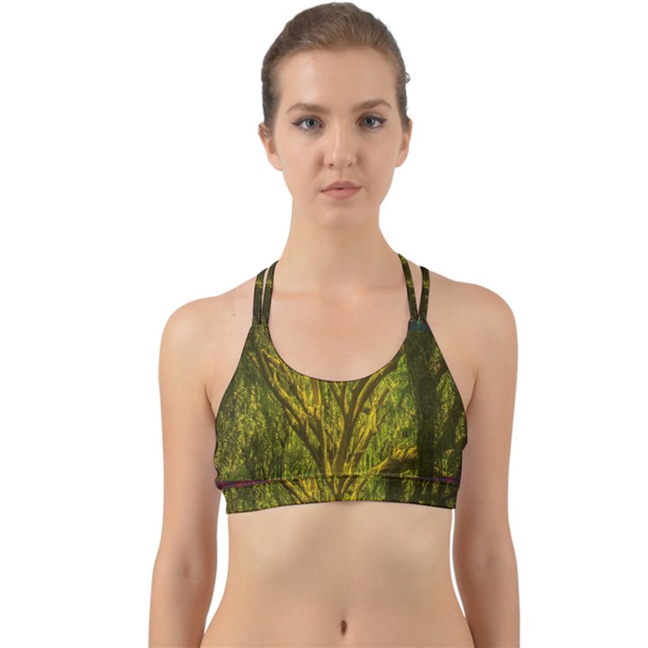 Rasta Forest Rastafari Nature Back Web Sports Bra