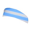 Bold Stripes Bright Blue pattern Stretchable Headband View1